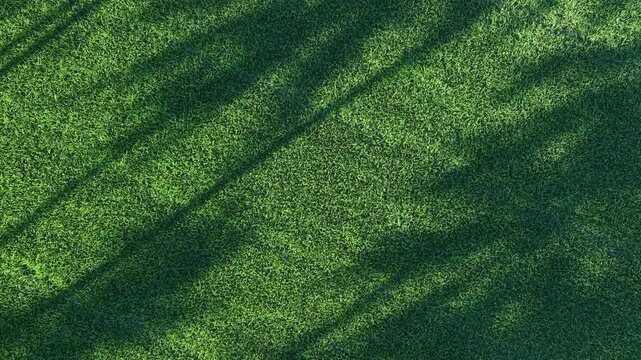 Aerial footage showing natural shadows across paddy field