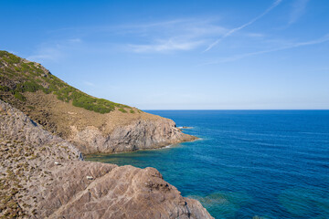 Fototapeta premium Two cows stand on a rugged, sunlit hillside above the deep blue Mediterranean Sea near Argentiera, Sardinia. The rocky terrain, sparse vegetation, and clear sky evoke a sense of wild, remote coastline