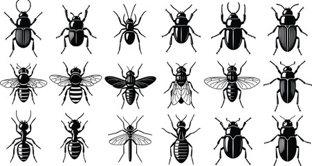 Insect silhouette collection with beetles, bees, flies and ants, detailed bug shapes isolated on white background, black vector illustration set