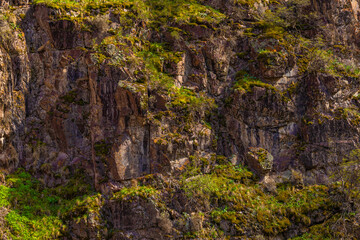 Rugged rock face adorned with vibrant green moss and various plants in a natural mountainous setting. Daylight enhances earthy textures and colors, creating a serene outdoor scene.