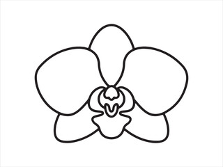 Orchid plant floral continuous line art drawing vector illustration
