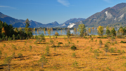 Herbst im Blinklingmoos im Salzkammergut
