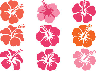 Hibiscus flower collection with colorful tropical blossoms for hawaiian summer design decor © Mobasshara