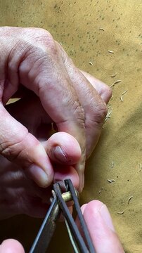 Close-up of a person trimming a toenail with metal nail clippers. Detailed view of foot care and personal grooming routine at home, showing nail fragments on surface in natural lighting.