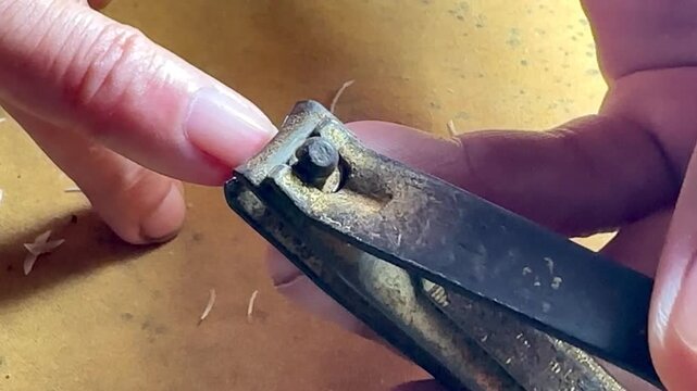 Close-up of a person trimming a toenail with metal nail clippers. Detailed view of foot care and personal grooming routine at home, showing nail fragments on surface in natural lighting.