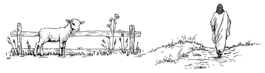 Lamb of god and jesus christ walking in rural landscape sketch © Kaz