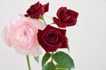 Fototapeta premium 薔薇とラナンキュラス