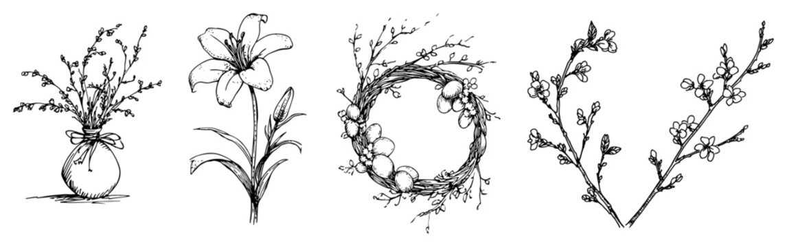 Spring floral set with willow branches and lily flower sketch