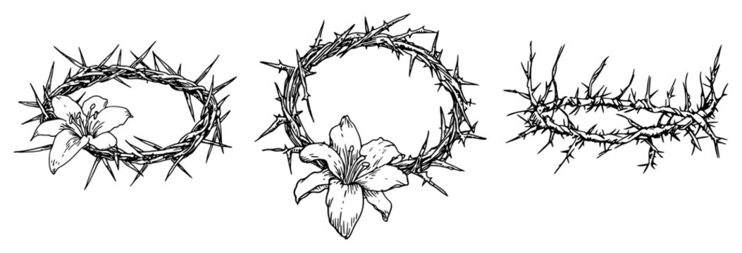 Three crowns of thorns with lily flowers and sharp spikes sketch