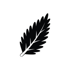 Fototapeta premium Black silhouette of a feather white background