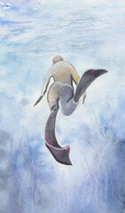 a man wearing flippers swimming underwater © krimzoya46