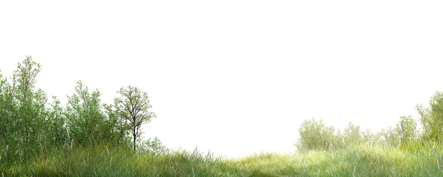 green grass background/Fresh green grass field with trees isolated on white background, panoramic nature landscape with copy space for design and commercial use.