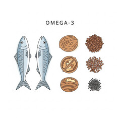 Minimalist Vector Illustration of Omega-3 Healthy Foods: Fish, Walnuts, Flax, Chia in Flat Design