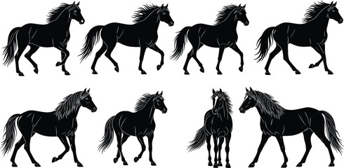 Vector illustration set of eight horse silhouettes, walking and trotting poses collection with flowing mane and tail, equine motion, anatomy, artistic design. © Foridul