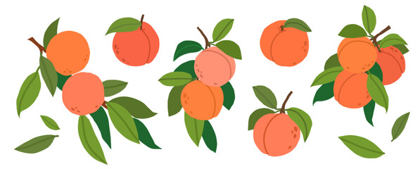 Fresh peaches with green leaves set isolated on white background. Bright fruit collection. For packaging, branding, kitchen decor and seasonal summer designs © Helen