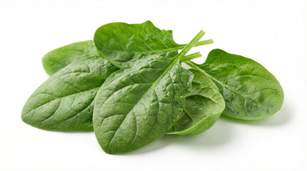 Fototapeta premium Fresh green spinach leaves arranged naturally, isolated on pure white background