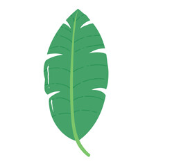 Banana Leaf, Banana Stem, Green Leaf, Tropical Foliage