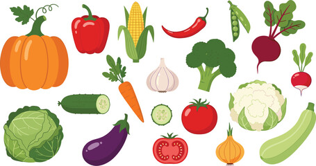 Fototapeta premium Fresh organic vegetables collection with pumpkin corn pepper broccoli cabbage and eggplant healthy food vector illustration set