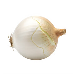 White onion with cracked skin isolated on white