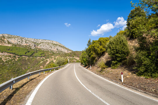 Curving asphalt road bordered by lush green hills and rocky slopes under a vivid blue sky near Baunei and Dorgali, Sardinia. The landscape is sunlit, open, and tranquil with natural textures and