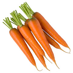 Group of five fresh carrots with green tops, isolated on white