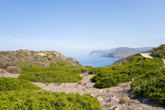 Rolling hills covered in green Mediterranean scrub descend toward the rocky shoreline and clear blue sea of Asinara National Park, Sardinia, under a bright sky. The landscape is sunlit and expansive