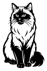 Obraz premium Ragdoll Cat Vector Illustration - Seated Feline Graphic