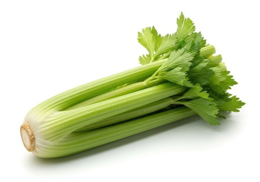 A bunch of fresh celery stalks with vibrant green leaves on top