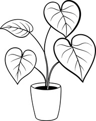 Heartleaf philodendron indoor foliage plant illustration © shahadat