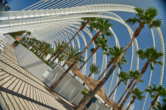 Wide angle view of the white vaulted promenade and palm trees at L Umbracle, City of Arts and Sciences, Valencia, Spain, Europe.