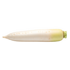Long white daikon radish root vegetable isolated on white background