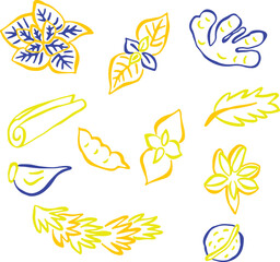 Obraz premium Bright, hand-sketched spices and herbs with bold yellow and blue outlines. Oregano, ginger, garlic, cinnamon, walnuts, rosemary.food ingredient illustration. colorful sketch for culinary projects.