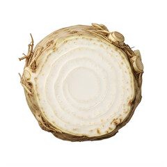 Celery root cross-section showing concentric rings on white background