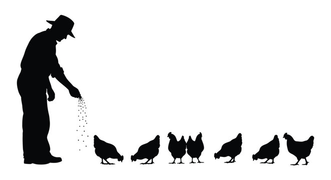 Farmer feeding chickens a striking black silhouette