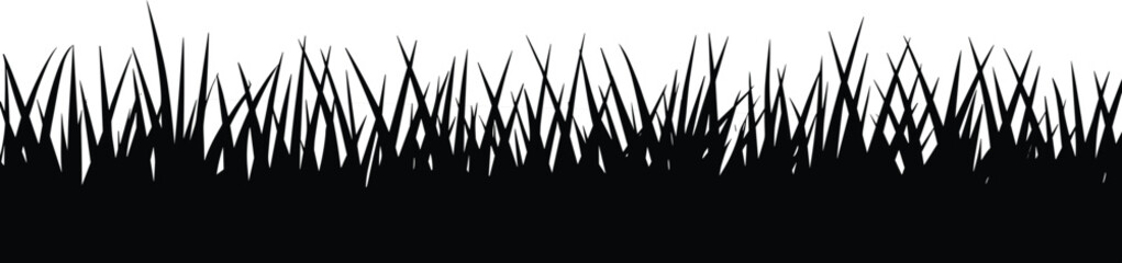 Silhouette of sharp black grass blades against a stark white background creating a minimalist and natural border © MdMoktar