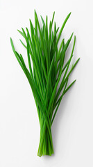 Fototapeta premium Fresh green chives bundle isolated on light background.