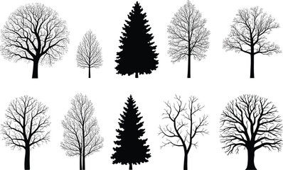 Fototapeta premium PrintTree silhouettes collection, diverse deciduous and coniferous forms, botanical illustration, forestry reference, nature design, artistic morphology, leafless branching patterns