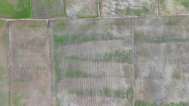 Aerial Labuh Banting Paddy Field Grid Overview