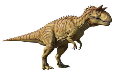 Fototapeta premium Isolated Carnosaur, an extinct genus of large theropod dinosaur with horns above eyes