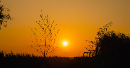 Relax and enjoy a peaceful evening as the sun sets, casting warm hues through the trees and vegetation in a tranquil natural setting.