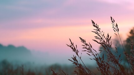 Obraz premium A serene misty landscape at dawn with soft pastel sky and silhouetted grass in the foreground
