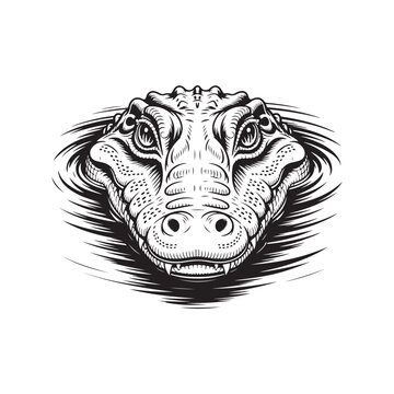 Vintage engraving Menacing Crocodile Head from Water Vector Illustration