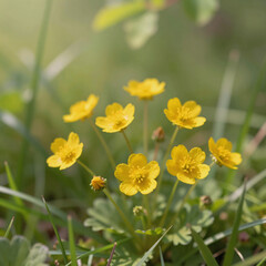 Obraz premium technical drawing, 