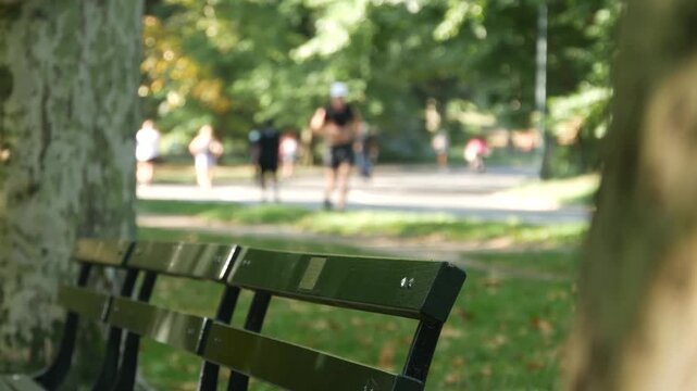 Wooden bench in Central Park of New York City, United States. People running on street in public park of Manhattan, USA. Runners on summer day in NYC. Sport and healthy lifestyle recreational activity