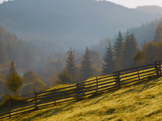 Discover the beauty of a misty mountain morning, where pastures bloom, fir trees rise, and rustic wooden fences create a stunning landscape in nature's tranquility. © RecCameraStock