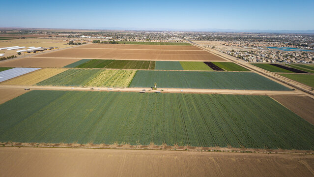 Aerial view of a patchwork of vibrant green and brown fields contrasting with the urban sprawl under a clear blue sky, El Centro, California, United States.