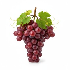 Fototapeta premium Vibrant bunch of red grapes with green leaves and tendrils isolated on a clean white background