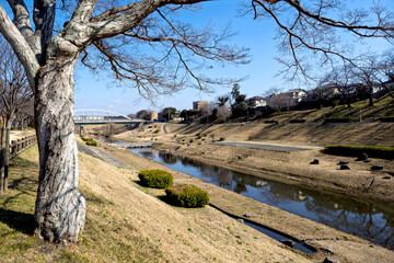 利根運河、冬の晴れの日の風景