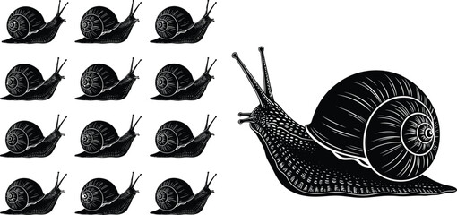 snail illustration vector artwork, small large snail comparison, black white design, animal silhouette concept, scale quantity artwork, decorative nature illustration set © Jui Creatives