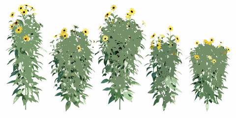 A watercolor illustration of several tall sunflower plants in bloom © Mityunjoy